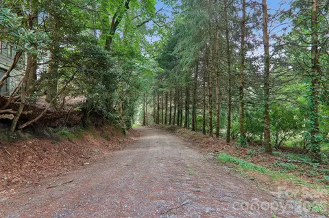 Other - 61 Bo Diddly Ln, Cedar Mountain, NC 28718 photo 16 of 16