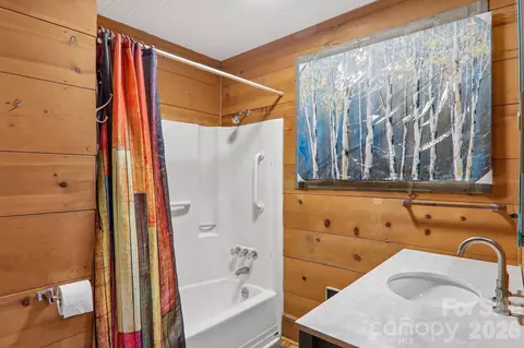 Bath - 61 Bo Diddly Ln, Cedar Mountain, NC 28718 photo 1 of 4