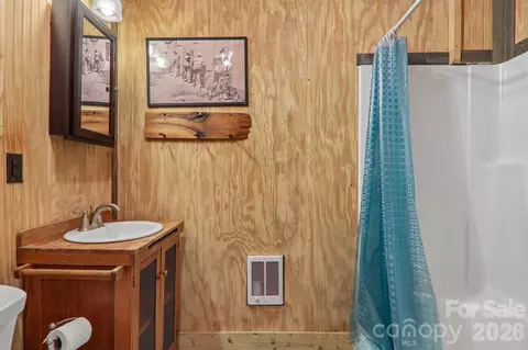 Bath - 61 Bo Diddly Ln, Cedar Mountain, NC 28718 photo 3 of 4