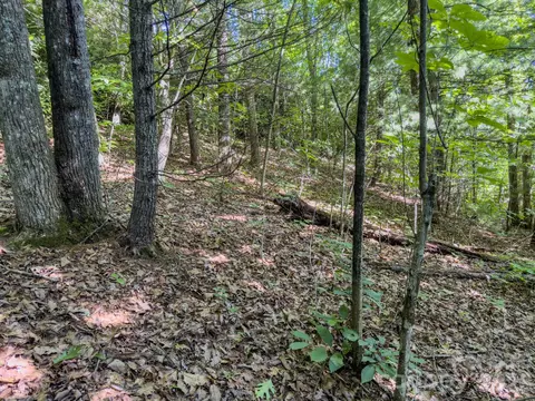 59 Old Greybeard Loop, Black Mountain, NC 28711 photo 9