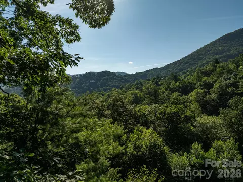 59 Old Greybeard Loop, Black Mountain, NC 28711 photo 2