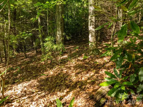59 Old Greybeard Loop, Black Mountain, NC 28711 photo 10