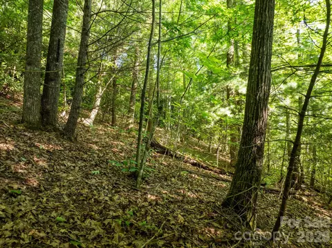 59 Old Greybeard Loop, Black Mountain, NC 28711 photo 12