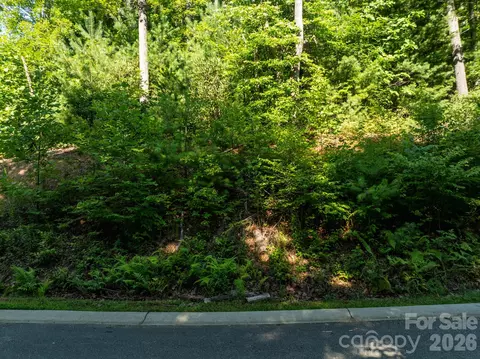 59 Old Greybeard Loop, Black Mountain, NC 28711 photo 8