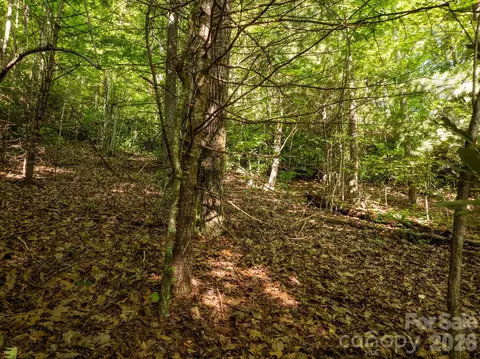 59 Old Greybeard Loop, Black Mountain, NC 28711 photo 11