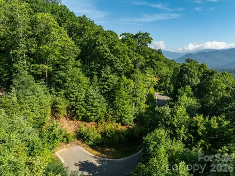 59 Old Greybeard Loop, Black Mountain, NC 28711 photo 3