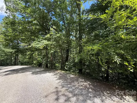 1 Rixhaven Dr, Saluda, NC 28773 photo 3