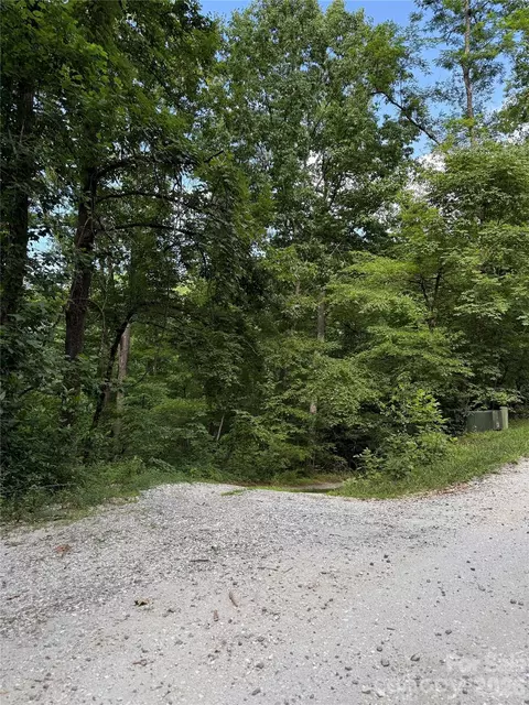 1 Rixhaven Dr, Saluda, NC 28773 photo 12