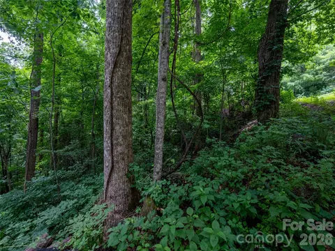 236 Nottingham Dr, Mill Spring, NC 28756 photo 5