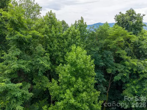 236 Nottingham Dr, Mill Spring, NC 28756 photo 12