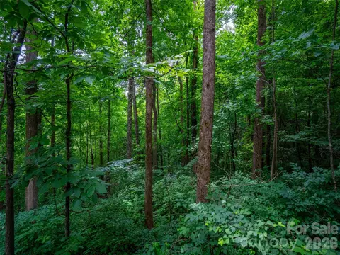 236 Nottingham Dr, Mill Spring, NC 28756 photo 6