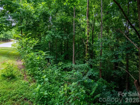 236 Nottingham Dr, Mill Spring, NC 28756 photo 7