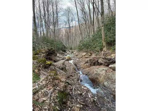 000 Ogles Gap Rd, Burnsville, NC 28714
