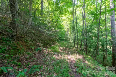 3 Board Tree Road #3, Marshall, NC 28753 photo 5