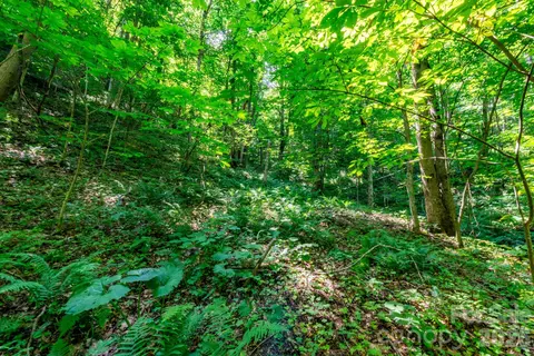 3 Board Tree Road #3, Marshall, NC 28753 photo 9