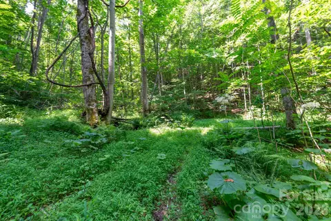 3 Board Tree Road #3, Marshall, NC 28753 photo 1