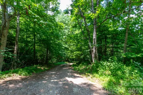 3 Board Tree Road #3, Marshall, NC 28753 photo 10
