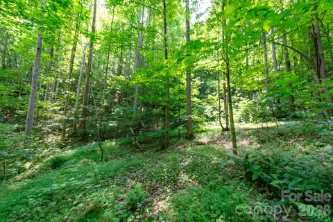 3 Board Tree Road #3, Marshall, NC 28753 photo 8