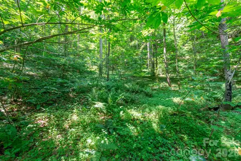 3 Board Tree Road #3, Marshall, NC 28753 photo 6