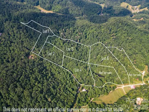 3 Board Tree Road #3, Marshall, NC 28753 photo 3