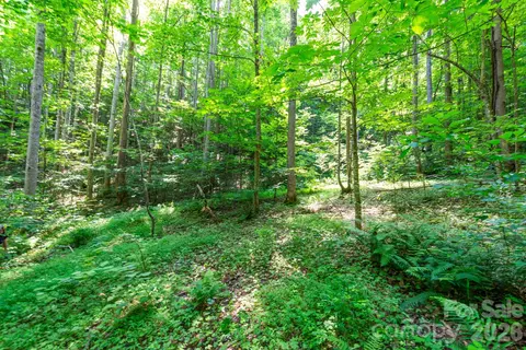 3 Board Tree Road #3, Marshall, NC 28753 photo 7