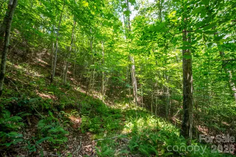 6 Board Tree Road #6, Marshall, NC 28753 photo 8