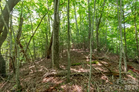 6 Board Tree Road #6, Marshall, NC 28753 photo 9
