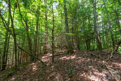6 Board Tree Road #6, Marshall, NC 28753 photo 1