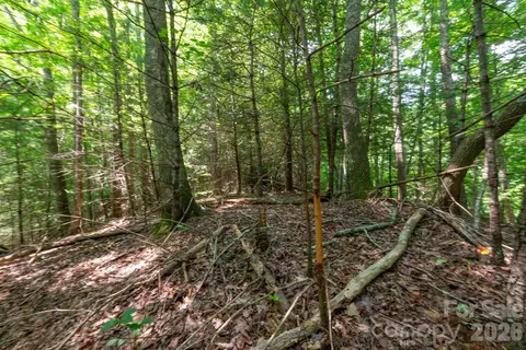 6 Board Tree Road #6, Marshall, NC 28753 photo 10