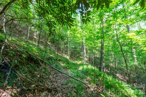 6 Board Tree Road #6, Marshall, NC 28753 photo 7