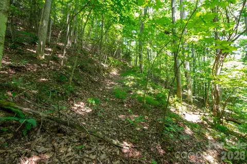 6 Board Tree Road #6, Marshall, NC 28753 photo 6