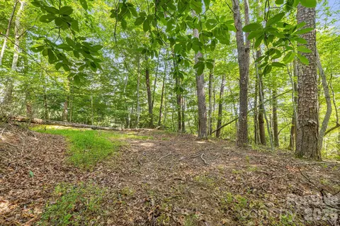 00 Canoe 40 Dr #40, Mill Spring, NC 28756 photo 15