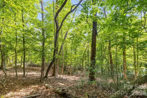 00 Canoe 40 Dr #40, Mill Spring, NC 28756 photo 16