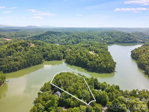 00 Canoe 40 Dr #40, Mill Spring, NC 28756 photo 5