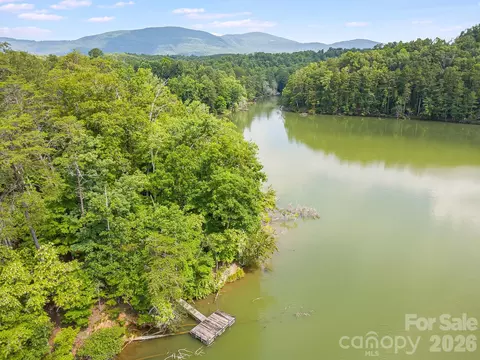 00 Canoe 40 Dr #40, Mill Spring, NC 28756 photo 6