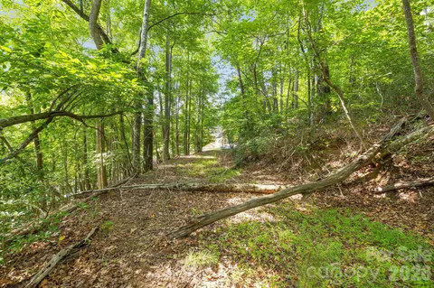 00 Canoe 40 Dr #40, Mill Spring, NC 28756 photo 13