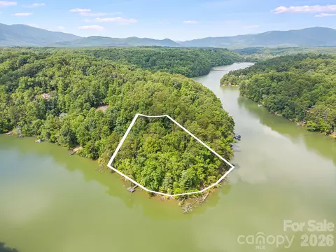 00 Canoe 40 Dr #40, Mill Spring, NC 28756 photo 3