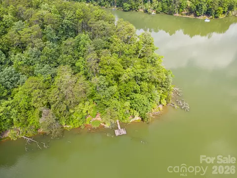 00 Canoe 40 Dr #40, Mill Spring, NC 28756 photo 19