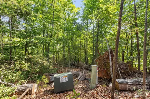 00 Canoe 40 Dr #40, Mill Spring, NC 28756 photo 12