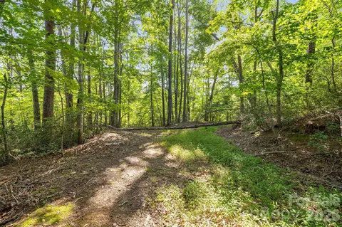 00 Canoe 40 Dr #40, Mill Spring, NC 28756 photo 14