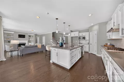 Other - 366 Hampton Trail Dr, Fort Mill, SC 29708 photo 4 of 13