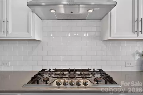 Other - 366 Hampton Trail Dr, Fort Mill, SC 29708 photo 3 of 13