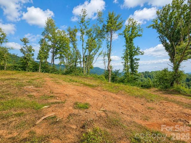 275 Sorrells Cove C1 Rd #C1, Waynesville, NC 28786