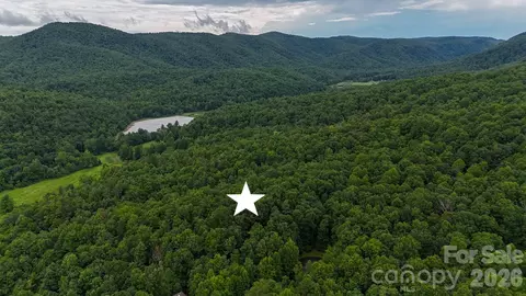 365 Big Bear 25 Trl #25, Zirconia, NC 28790