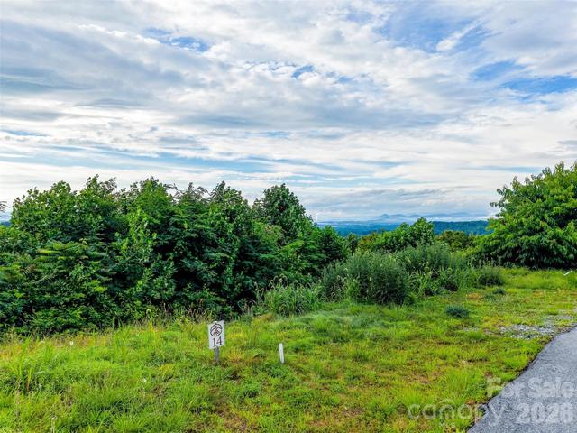 Skydance Trail, Hendersonville, NC 28739
