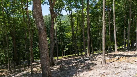 000 Hamlin Ln, Mars Hill, NC 28754 photo 8