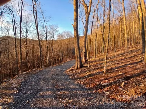000 Hamlin Ln, Mars Hill, NC 28754 photo 16