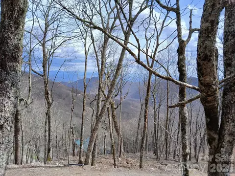 000 Hamlin Ln, Mars Hill, NC 28754 photo 10