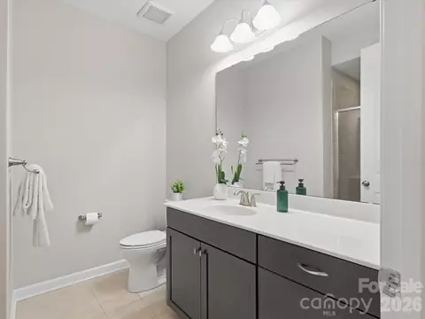 Bath - 5353 Baker Ln, Clover, SC 29710 photo 5 of 5