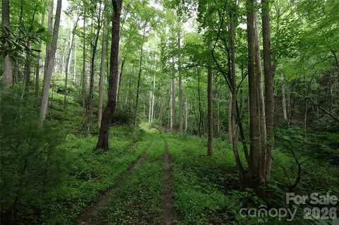 Blowing Rock Road, Lenoir, NC 28645